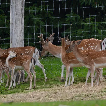 Krakonos Шпиндлерув-Млин