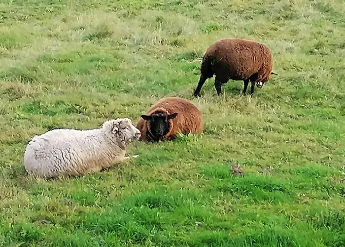 Krakonos Pensión 3*