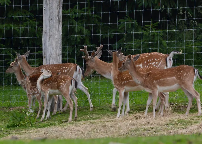 Krakonos Špindlerŭv Mlýn